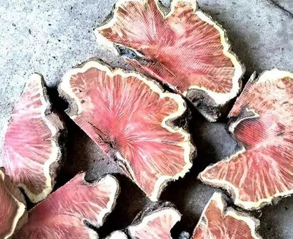 十几块的文玩盘起来竟然也很好看,最适合穷人盘的文玩