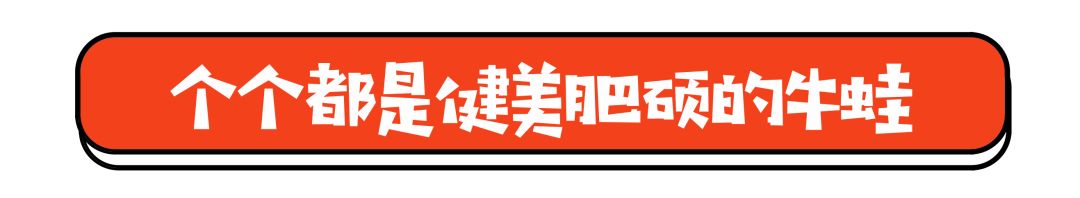桃园宾馆开业,桃园宾馆桃园路店