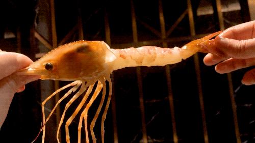 魔都海鲜自助餐厅排名,魔都周浦海鲜自助