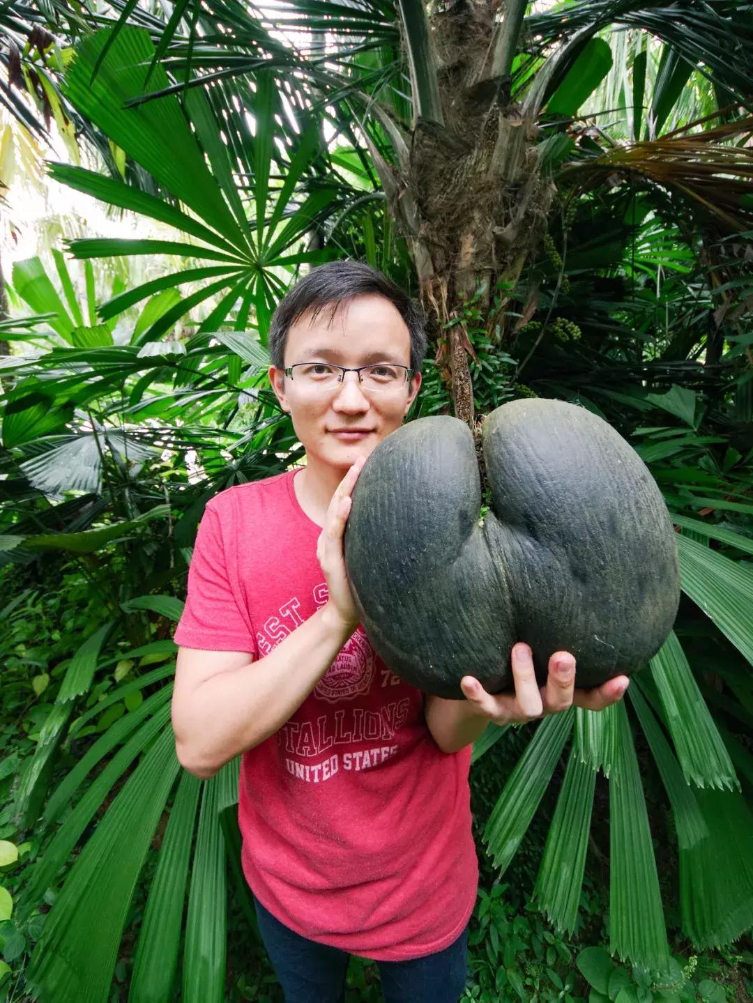 他的工作是厨师的英文,他的工作是什么英文句子