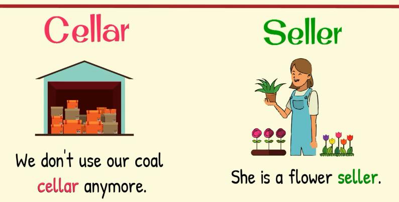 英语的同音异义词是什么意思,英语同音同形异义词概念