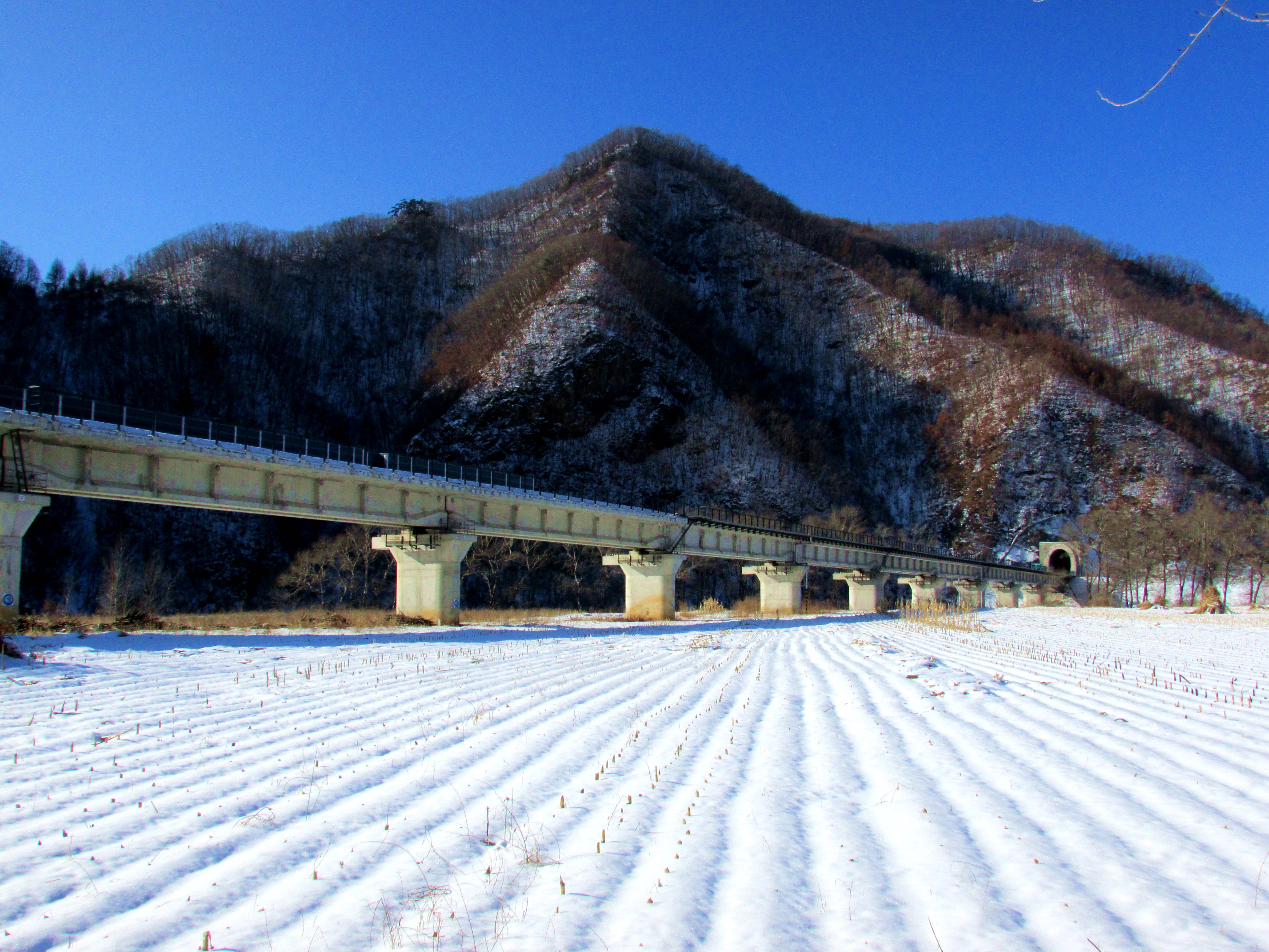 本溪湖里村冬季景色,本溪湖里村景色视频