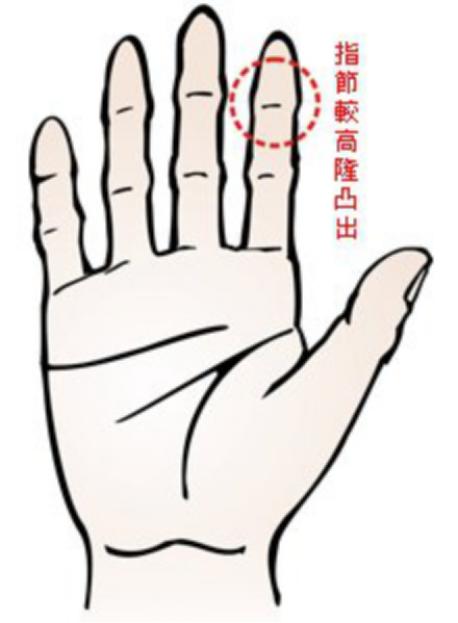 手分为哪几种类型的手,手表手镯戴哪只手比较好