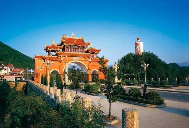 涨知识酒类,涨知识的深度解析