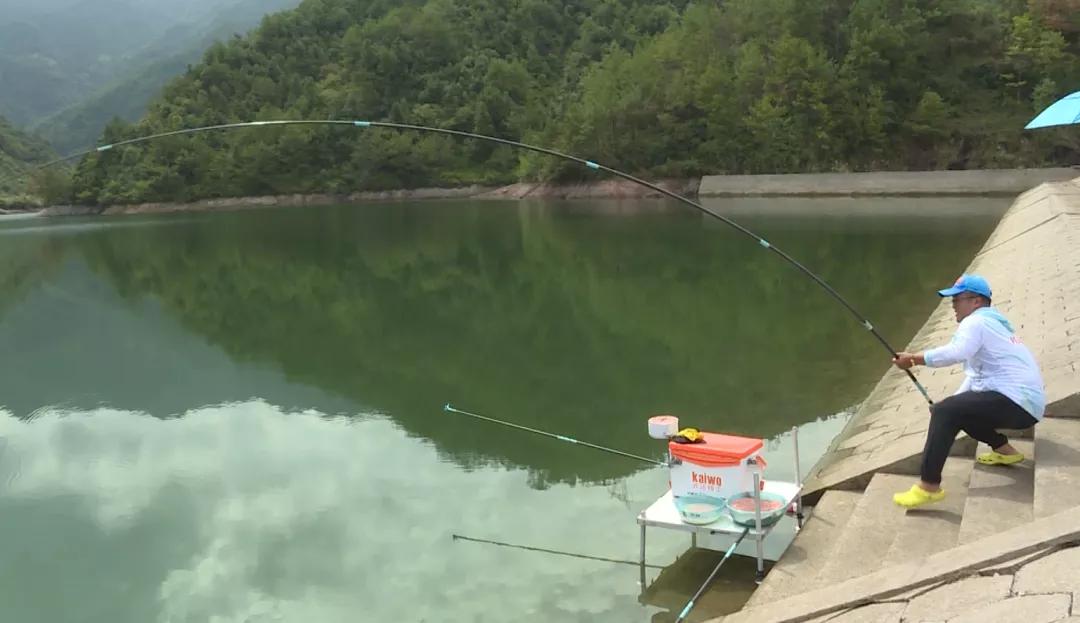 40斤的鲢鳙推荐什么竿,沃鼎鲢鳙竿