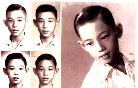 杨受成与明星关系,杨受成成长历程