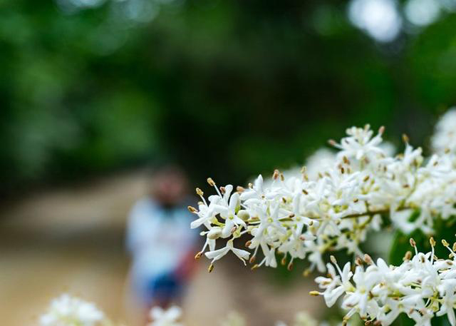 开封自驾日照途中好玩的地方 (开封附近一日游自驾游推荐)