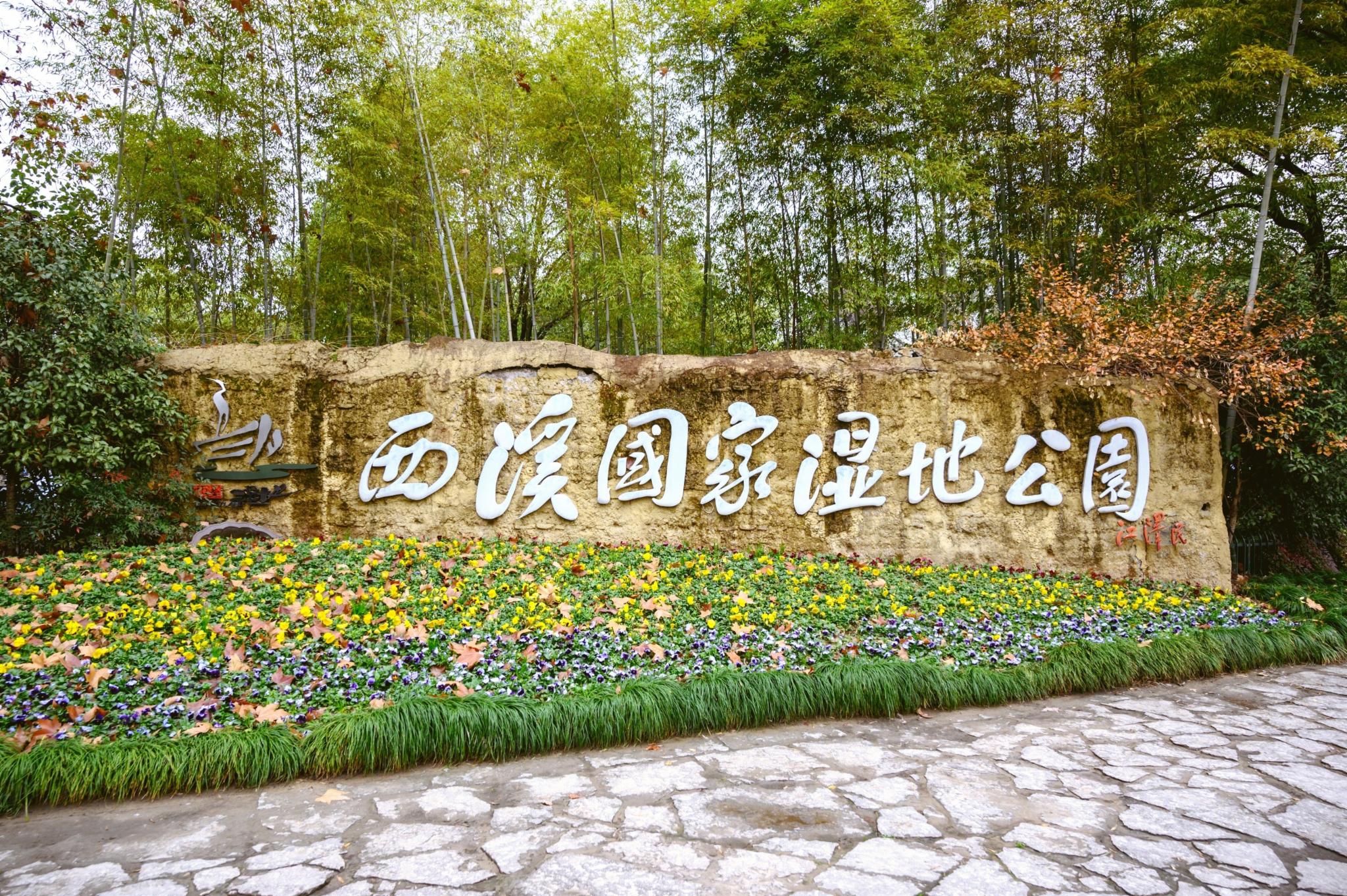 被誉为“杭州之肾”的西溪湿地值得去吗?网友:景色比西湖还美