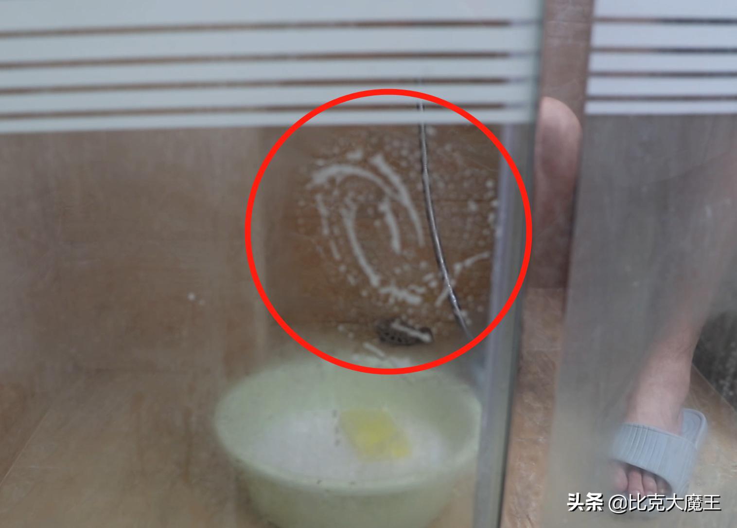 洗衣粉加香烟的方法,香烟加洗洁精的妙用