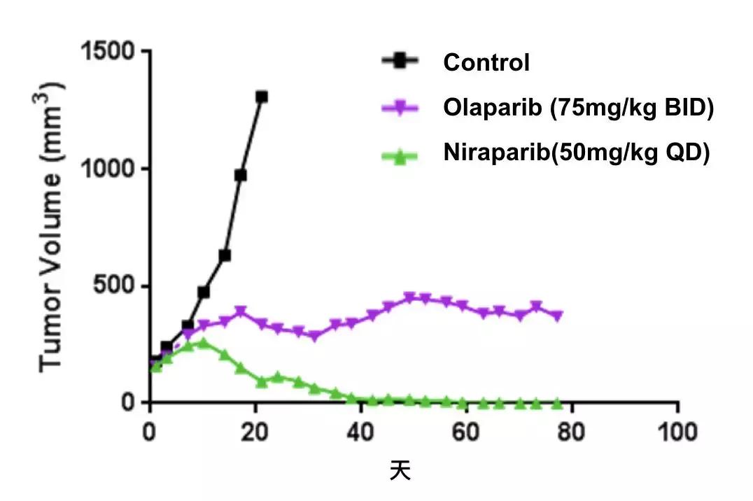 科学家找到了癌细胞的软肋，给了它致命的最后一击！