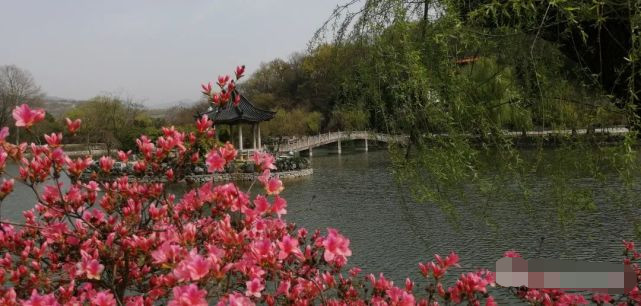 再访阿拉善,再访大理三塔