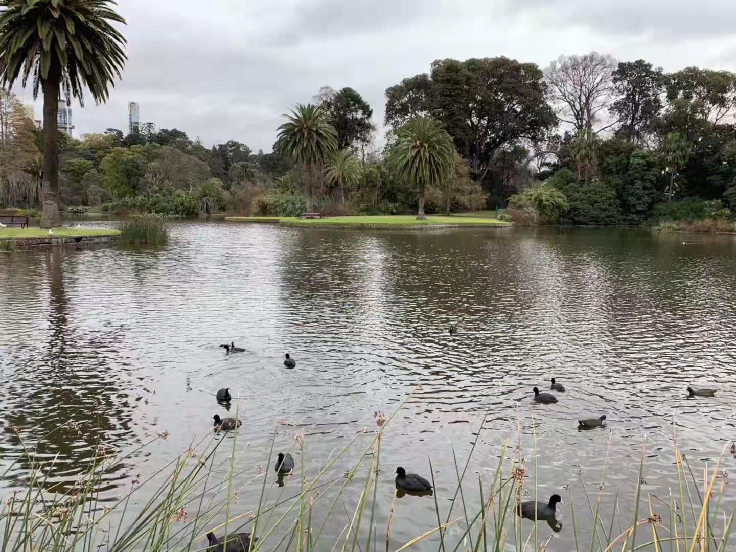 旅游购物被骗怎么办教程图片,旅游购物被套路怎么办