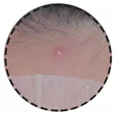 面膜测评红榜第一名好用面膜,网红面膜最好用的是哪一款