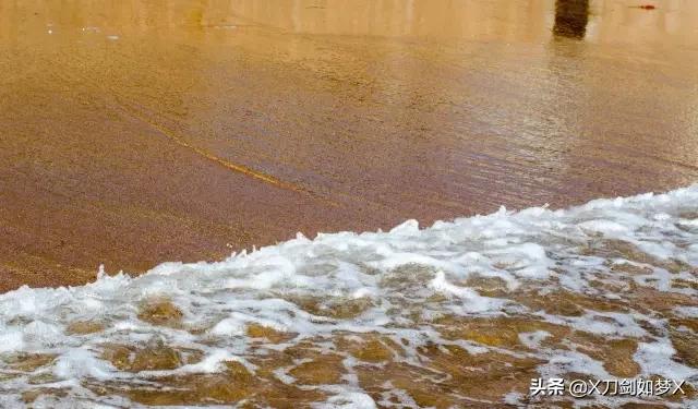 一位导游的枸杞岛之旅 (枸杞岛2021年原创游记攻略分享)