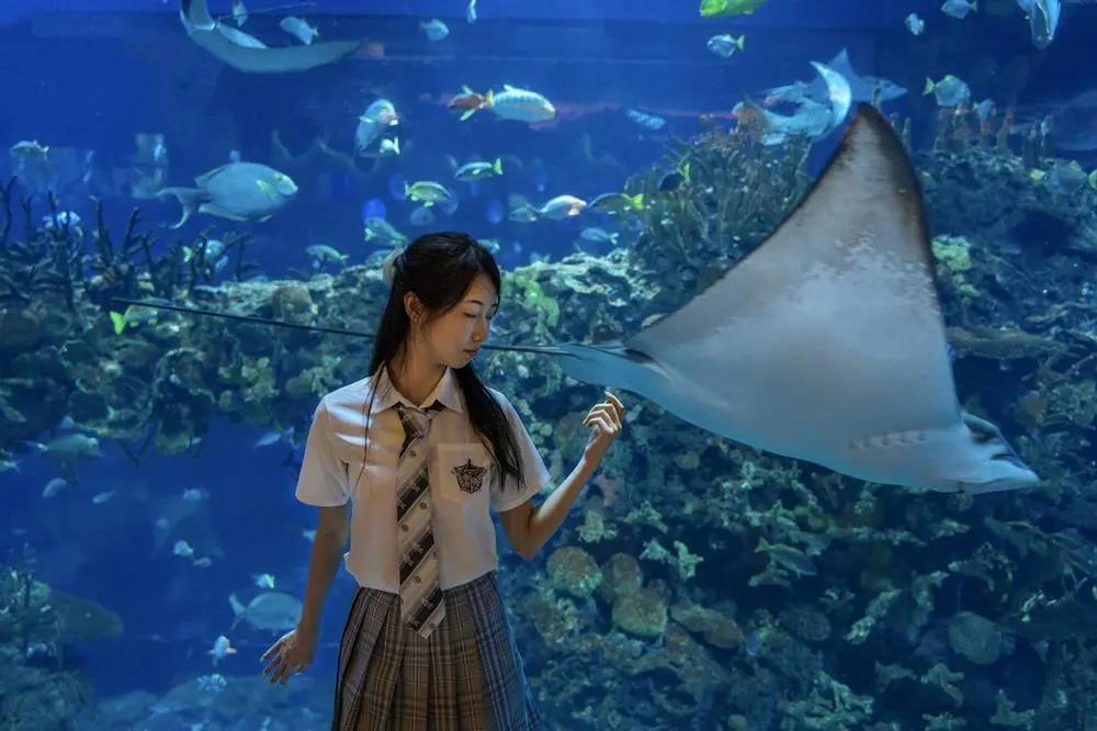 2020年摄影点评部分低分照片合集（下）（前方大量熊猫出没）