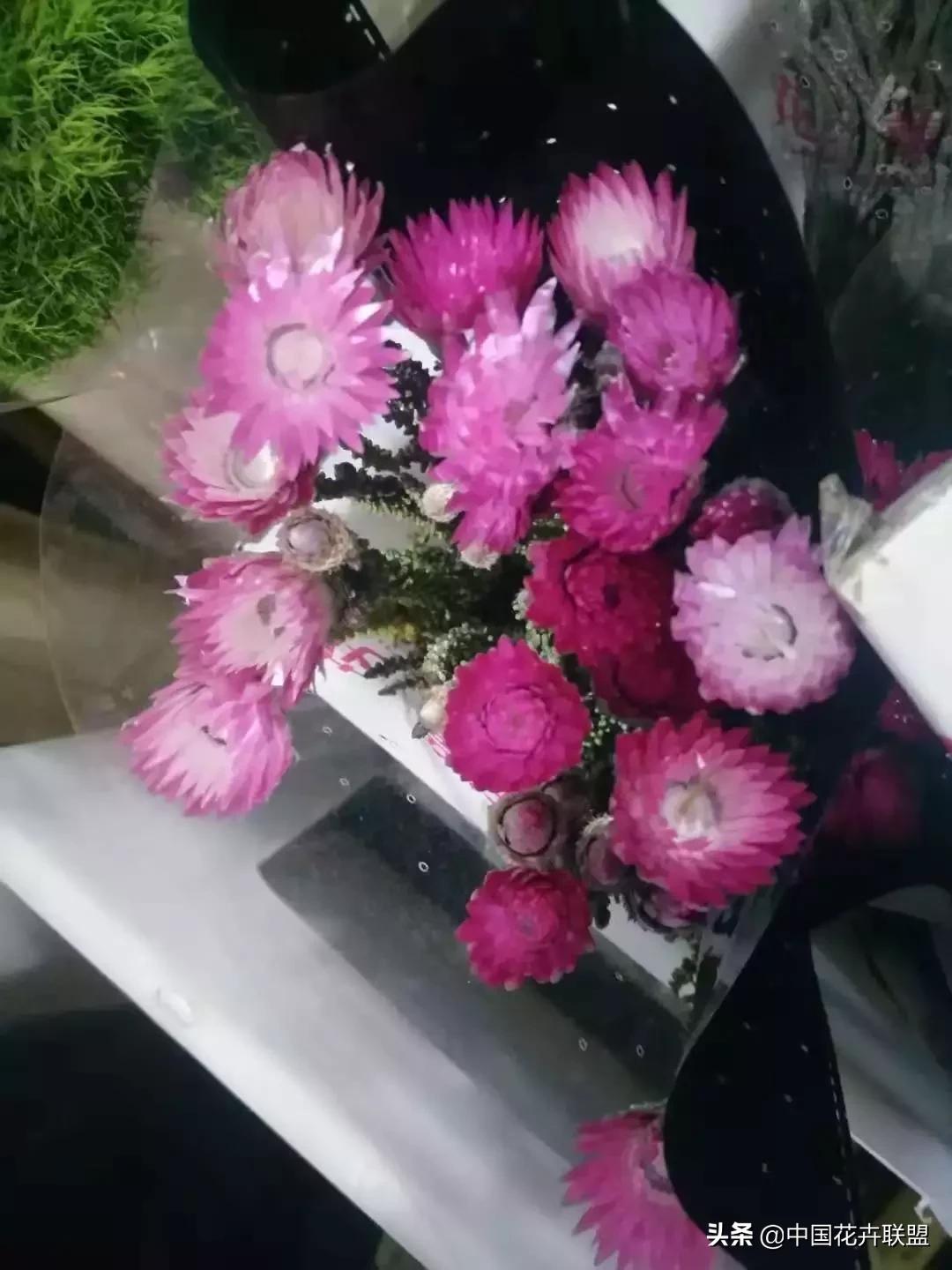 春天花市有哪些花材,便宜又大把的花材有哪些