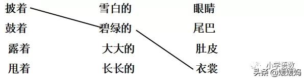 二年级上册小蝌蚪找妈妈听写词语,朗读二年级上册语文小蝌蚪找妈妈