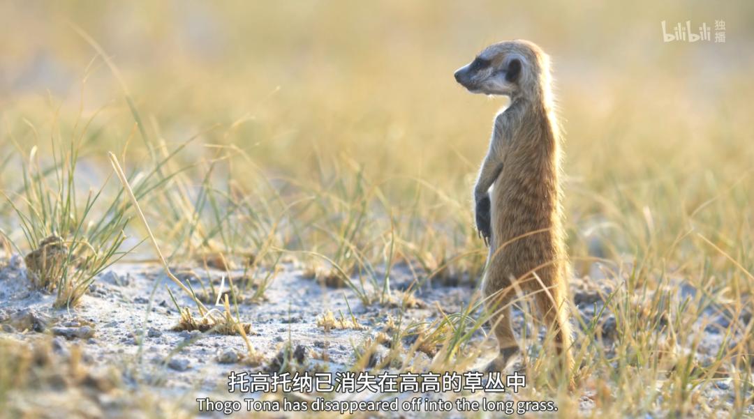 豆瓣评分9.5以上的国产电影有哪些,十部顶级神片推荐