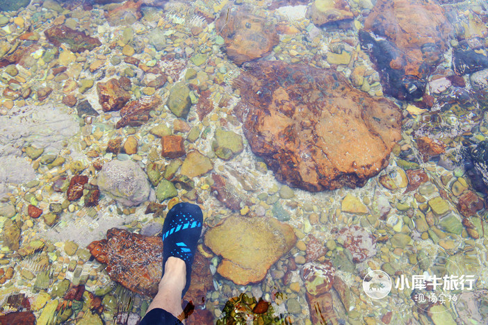 五一小长假海岛露营,小长假海岛露营