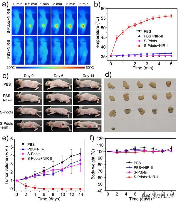 肿瘤光热治疗综述,澳大利亚肿瘤手术