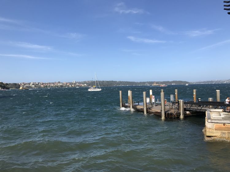 澳洲出境可以随身携带奶粉吗,澳洲机场奶粉限制