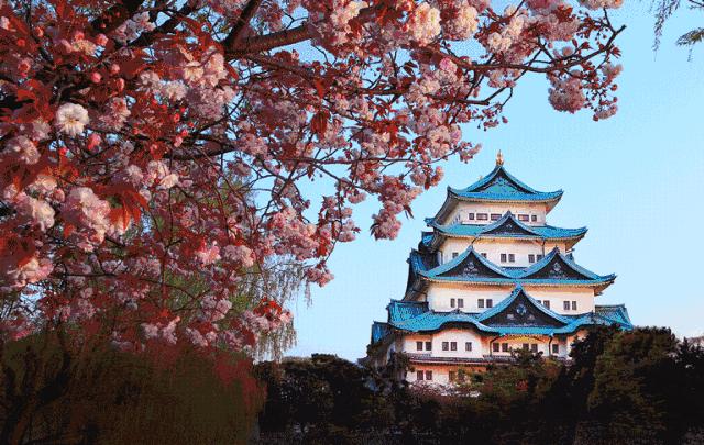 日本留学生活注意细节,日本留学小贴士图