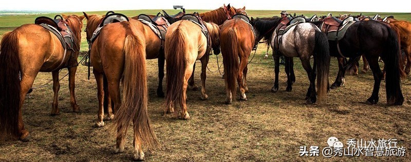 手绘套娃教程,列巴手绘套娃