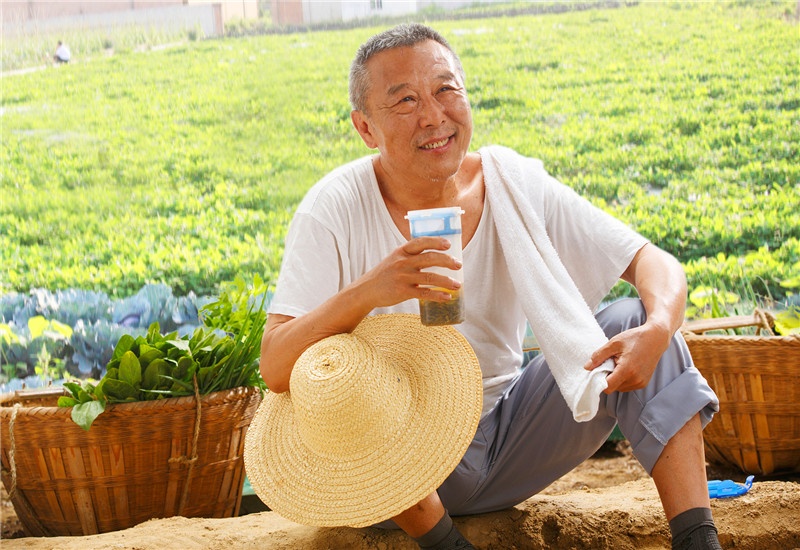 农村种植蔬菜一年赚多少钱,2018种植什么蔬菜最赚钱