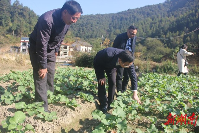 待到山花烂漫——追记“最美扶贫书记”黄诗燕