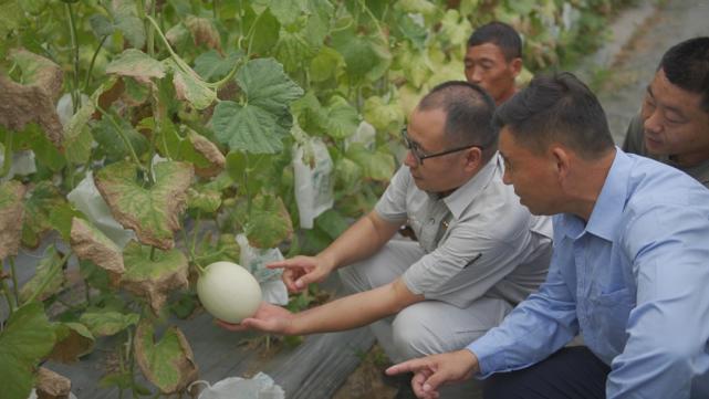 中储粮责任与担当,中储粮公司的职责和使命