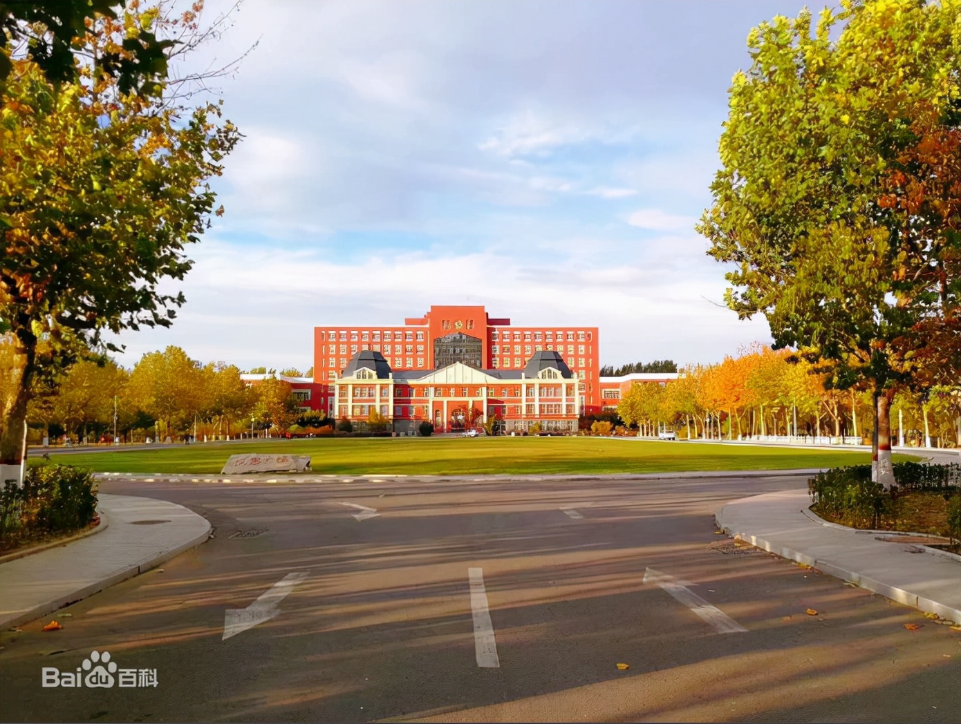 东北大学秦皇岛分校与燕山大学,东北大学秦皇岛分校属于双一流么