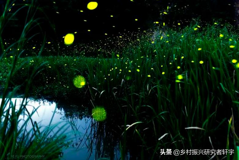 乡村振兴特色产业打造规划方案,河南柘城县乡村振兴的支柱产业