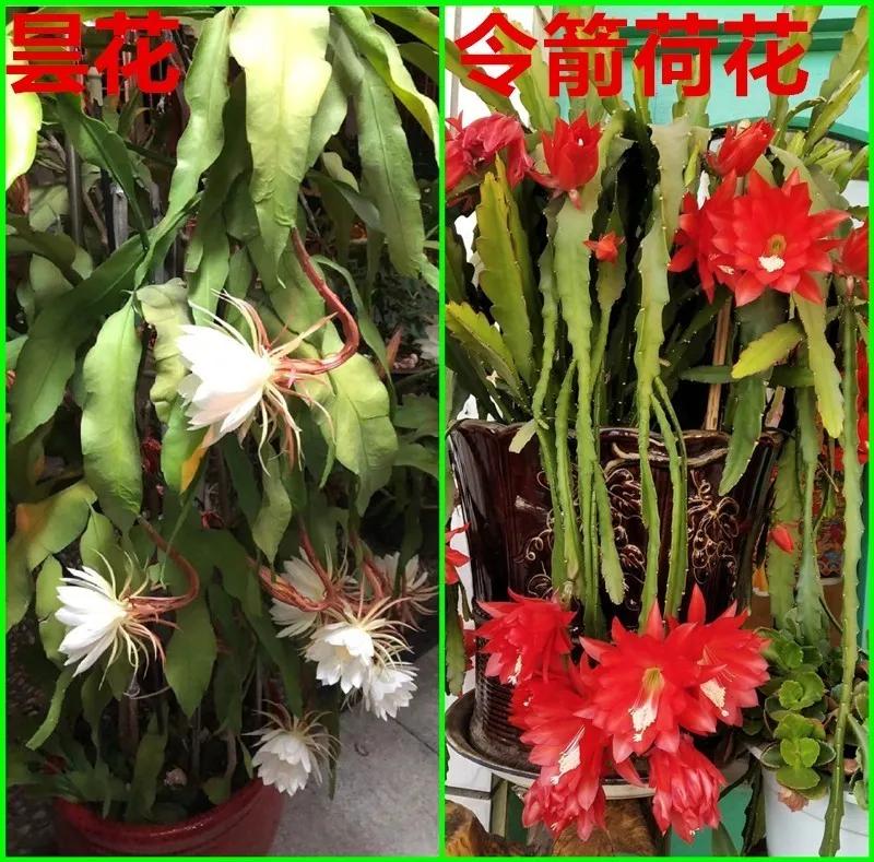 教你如何避开假货买到真品,一张图告诉你怎样分辨假货