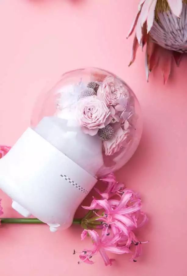 永生花一生只送最爱的人,永生花永恒的爱