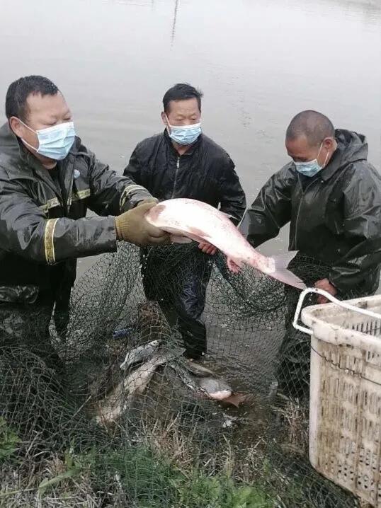 鄂州美食套餐10人餐,鄂州老城区美食团购3-4人套餐