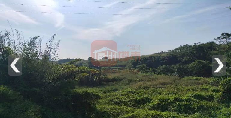 梅州碧桂园最新的情况官方消息,梅州碧桂园最新消息