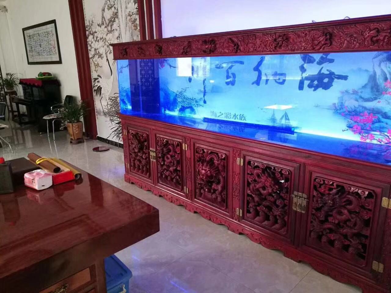 渔友张哥小视频,新鱼缸养锦鲤鱼正确的方法和技巧