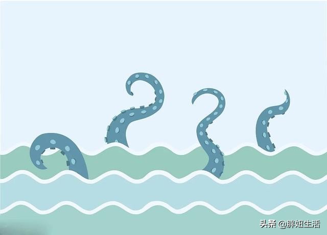 章鱼墨鱼鱿鱼该怎么分清呢,章鱼墨鱼鱿鱼的区别科普