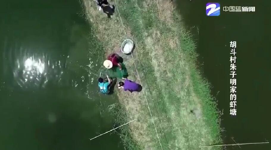 钱塘江大潮飞涌而上,钱塘江大潮奔涌而来