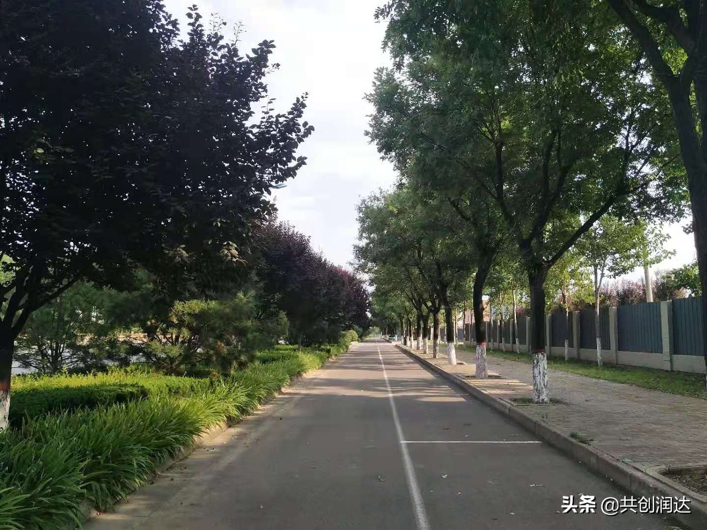 渭南崛起之六：渭南市人民医院（市妇幼保健院）新院址选址经开区