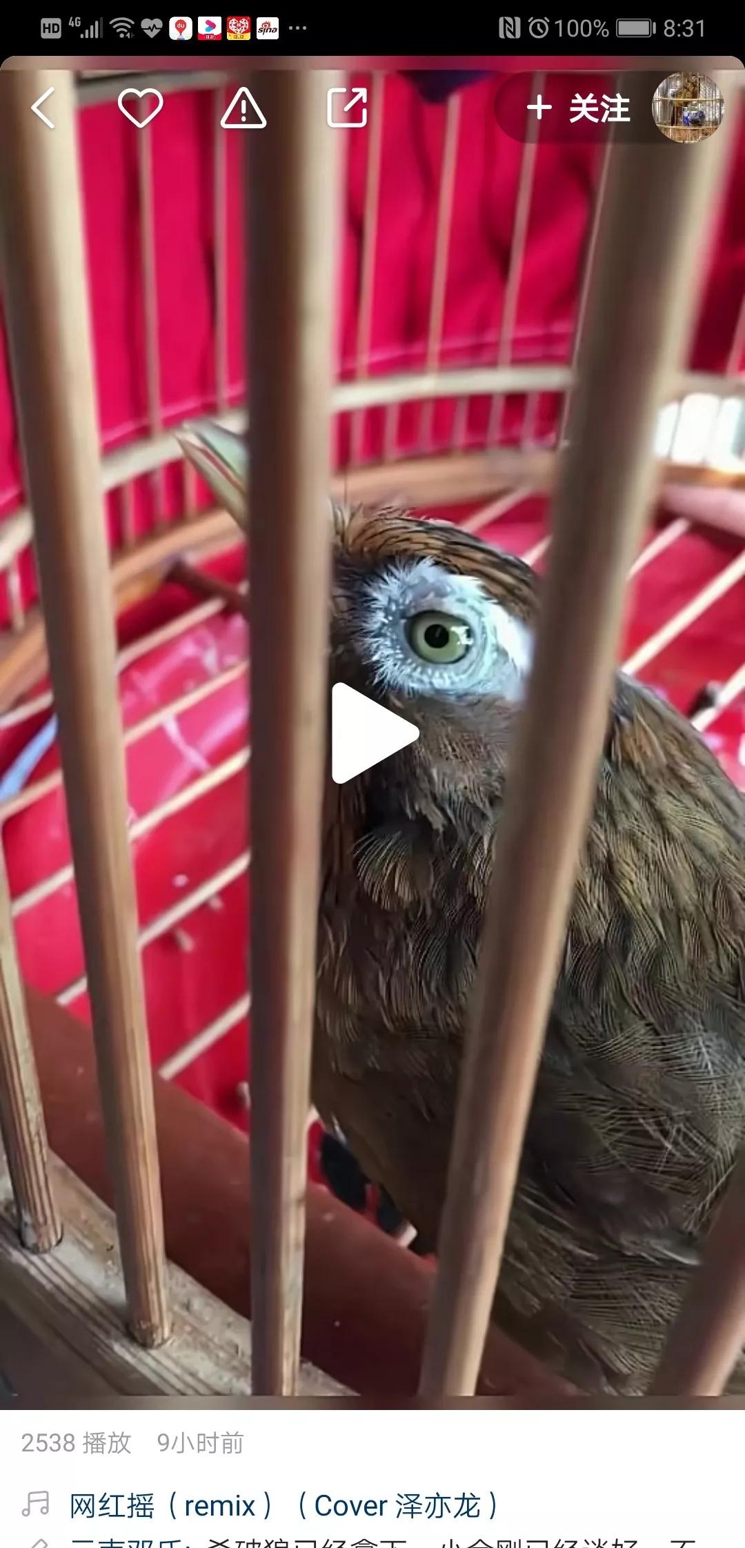 眼底黄斑打几针才算好,眼底白斑的危害