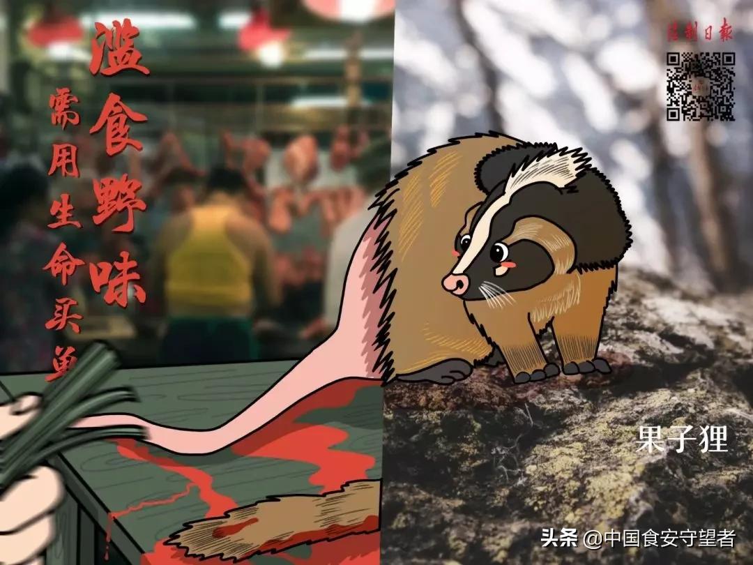 40种野生动物是哪些不能吃的,能吃的野生动物有哪些