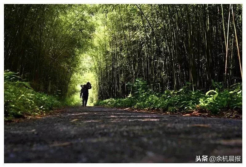 走进中泰,这里是泰国