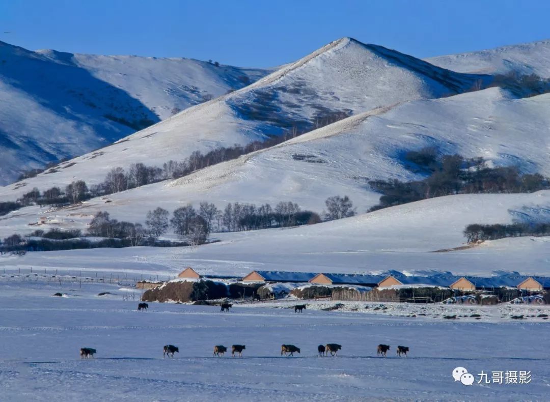 大美坝上草原全景,大美坝上风光系列之一