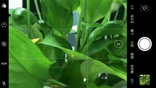 手机摄影拍照教程从零开始,手机拍照技巧和手机摄影分享