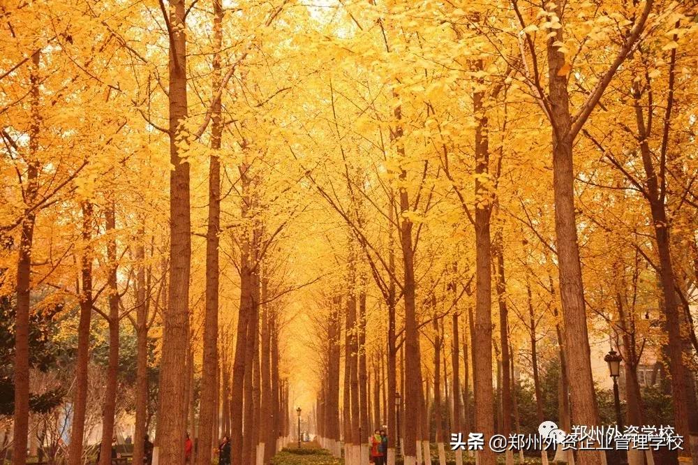 特稿|最美的青春在外资——一个中职生的真情告白