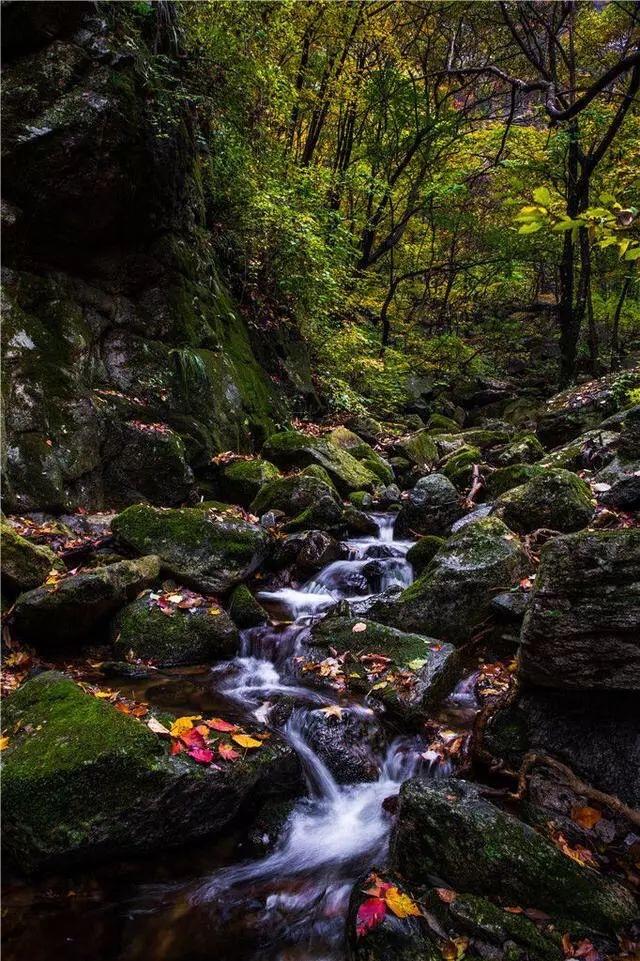 河南省平顶山市尧山风景区,平顶山尧山和洛阳老君山
