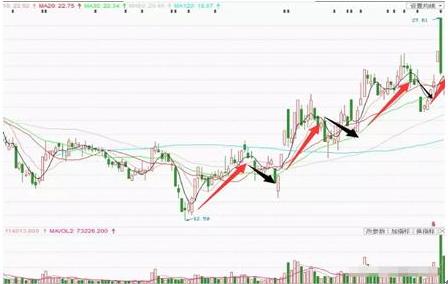短线高手炒股养家,短线高手收益