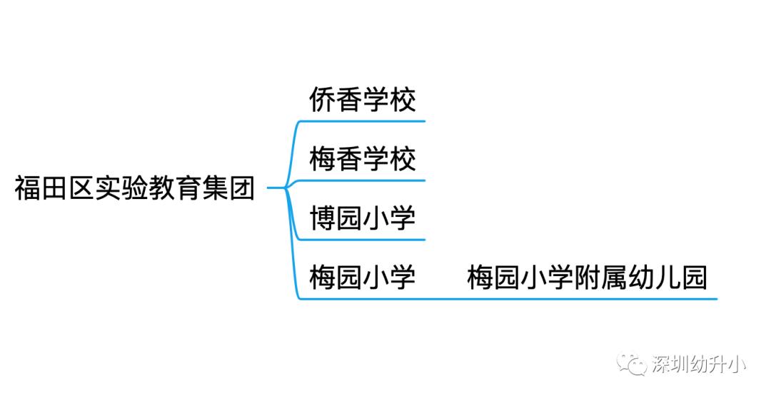 深圳最难考进的国际学校,深圳难进的小学