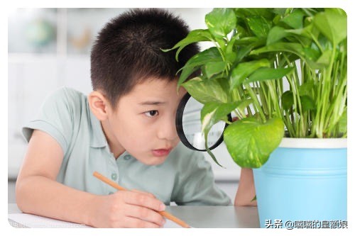 同桌考了98分片段,同桌考试得了100分